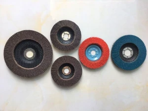 Flap disc sib tsoo lub log